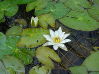 �q�c�W�O�T�B